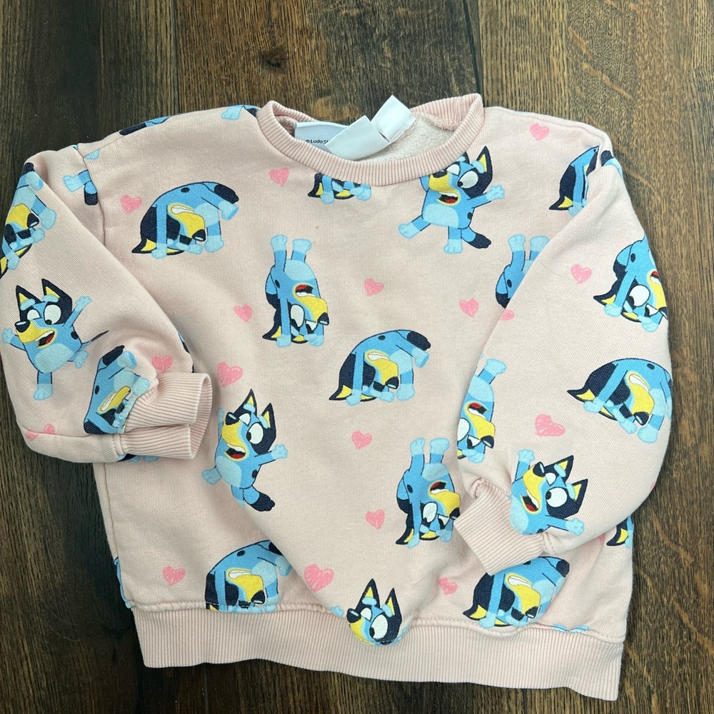 ZARA Toddler Bluey Sweatshirt Size 2-3 Years